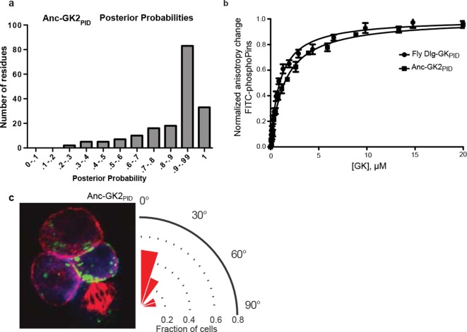 Figure 2—figure supplement 1.