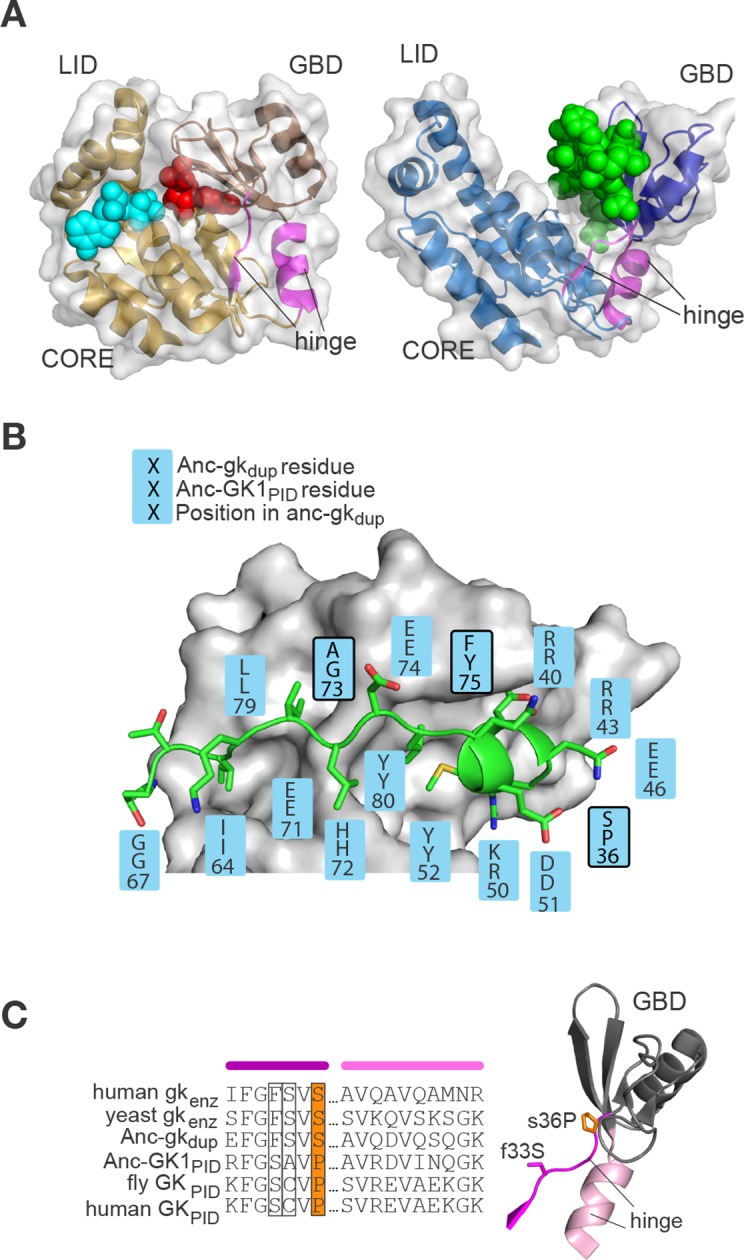 Figure 5.