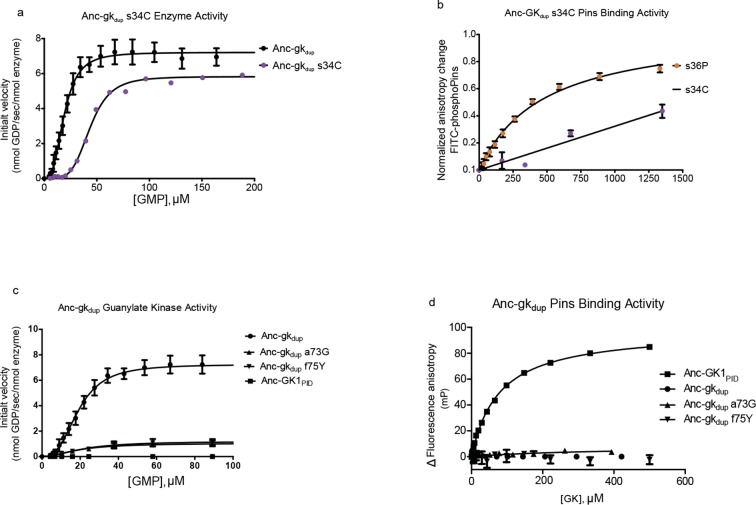 Figure 6—figure supplement 1.