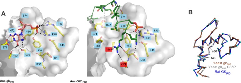 Figure 7.