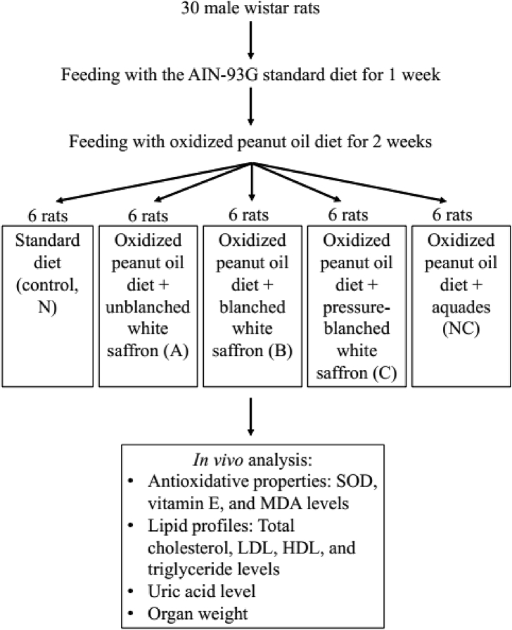 Figure 3