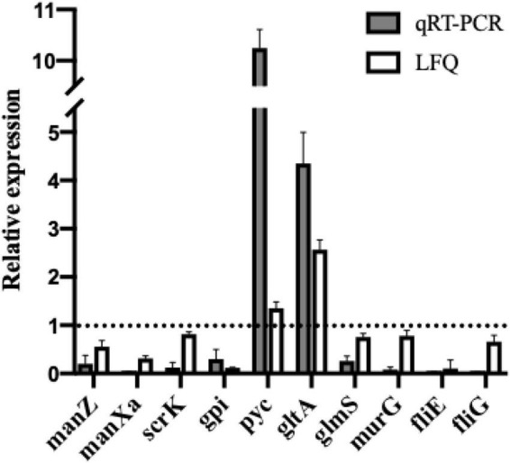 FIGURE 6