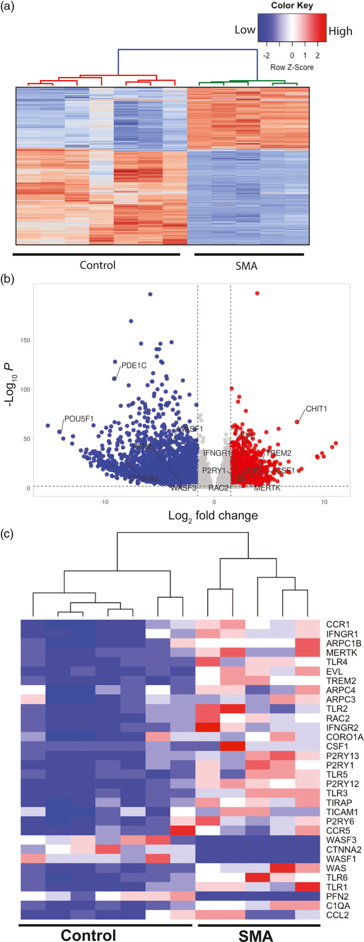 FIGURE 4