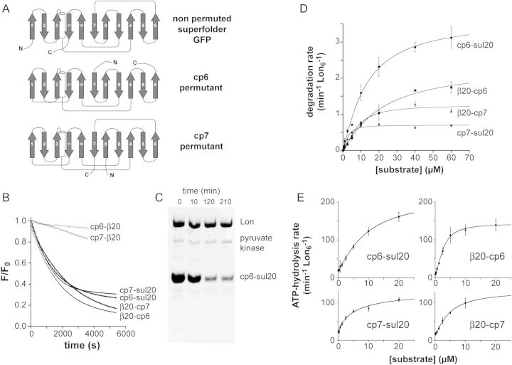 Fig. 1.