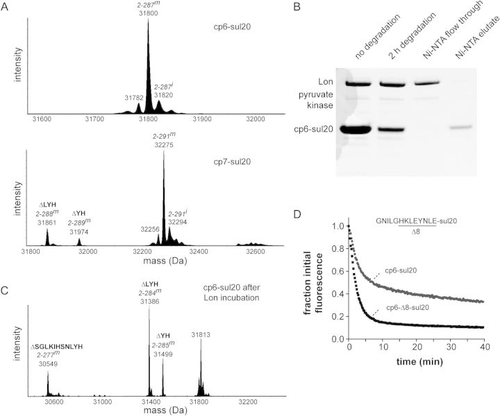 Fig. 2.