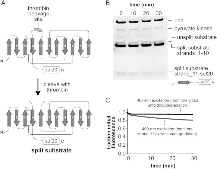 Fig. 3.