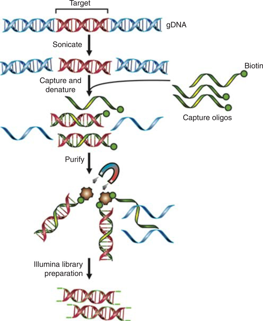 FIGURE 1