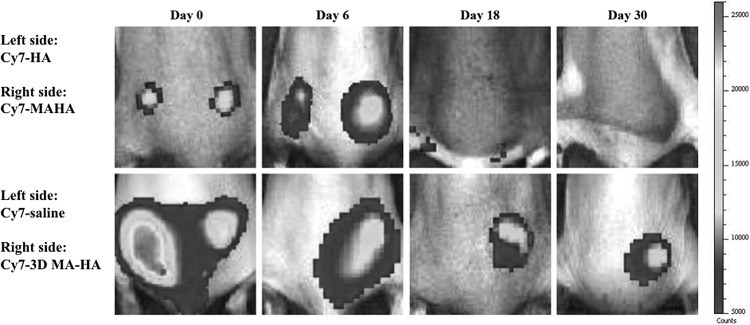 FIG. 5.