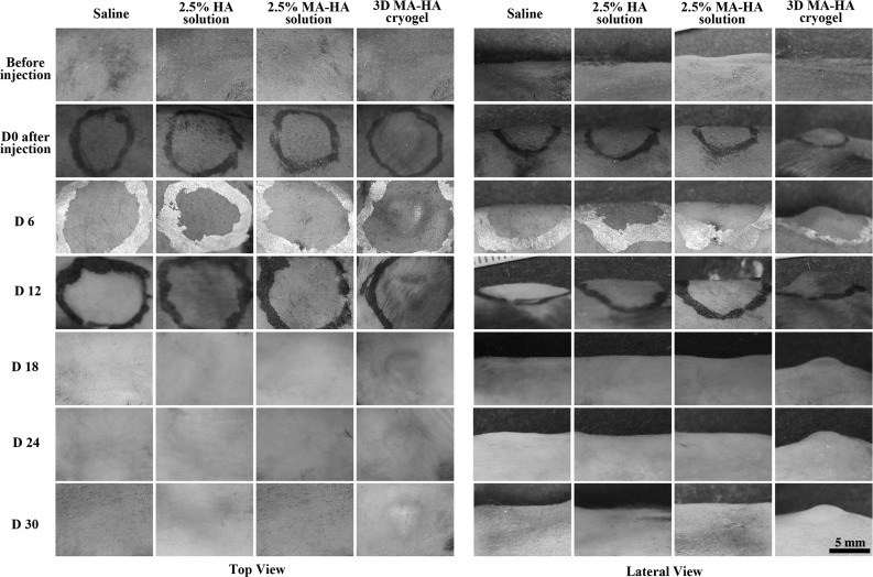 FIG. 4.