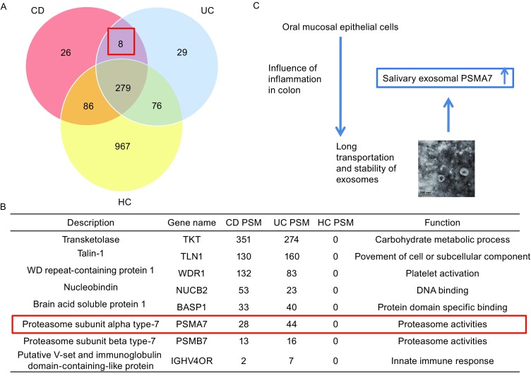 Figure 2