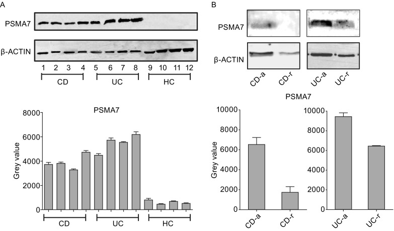 Figure 4