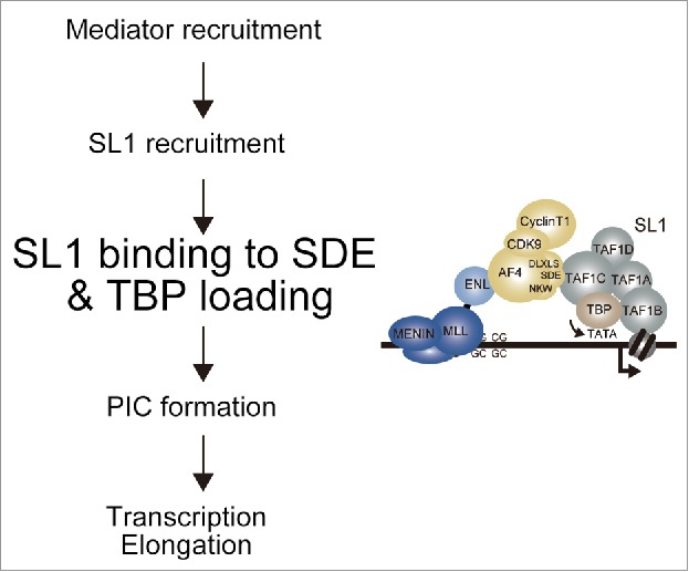 Figure 6.