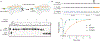 Figure 5 |