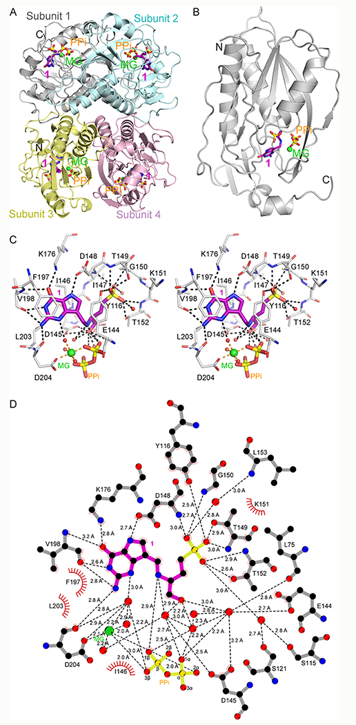 Figure 5.