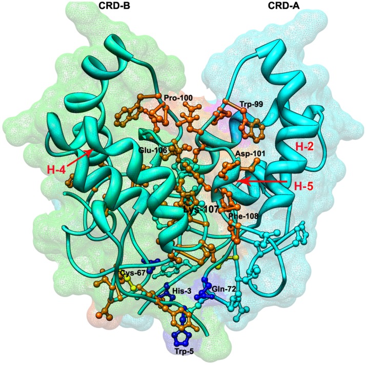 Figure 5