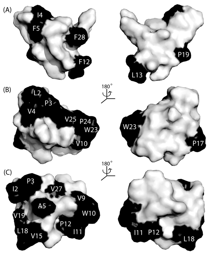 Figure 5.