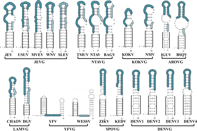 FIGURE 4