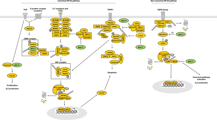 Figure 1.