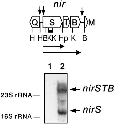 FIG. 1