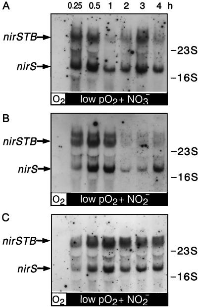 FIG. 5