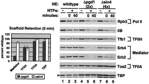 FIG. 7.