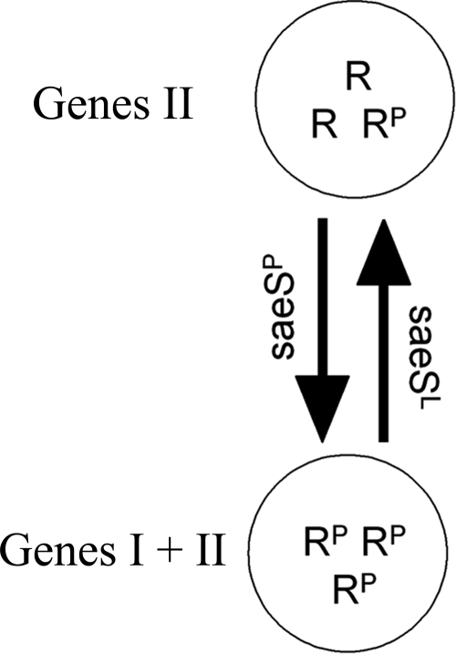 FIG. 7.