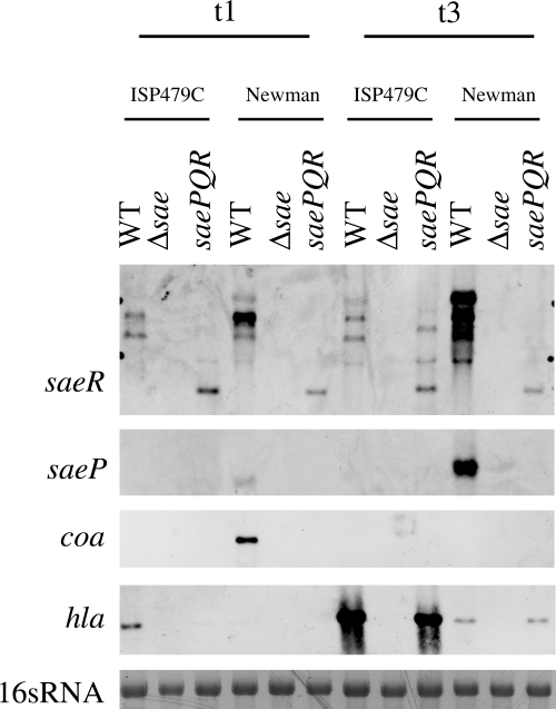 FIG. 5.