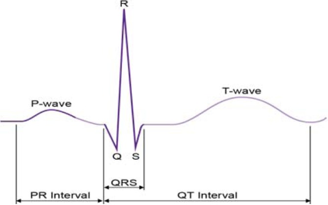 Fig. 6.