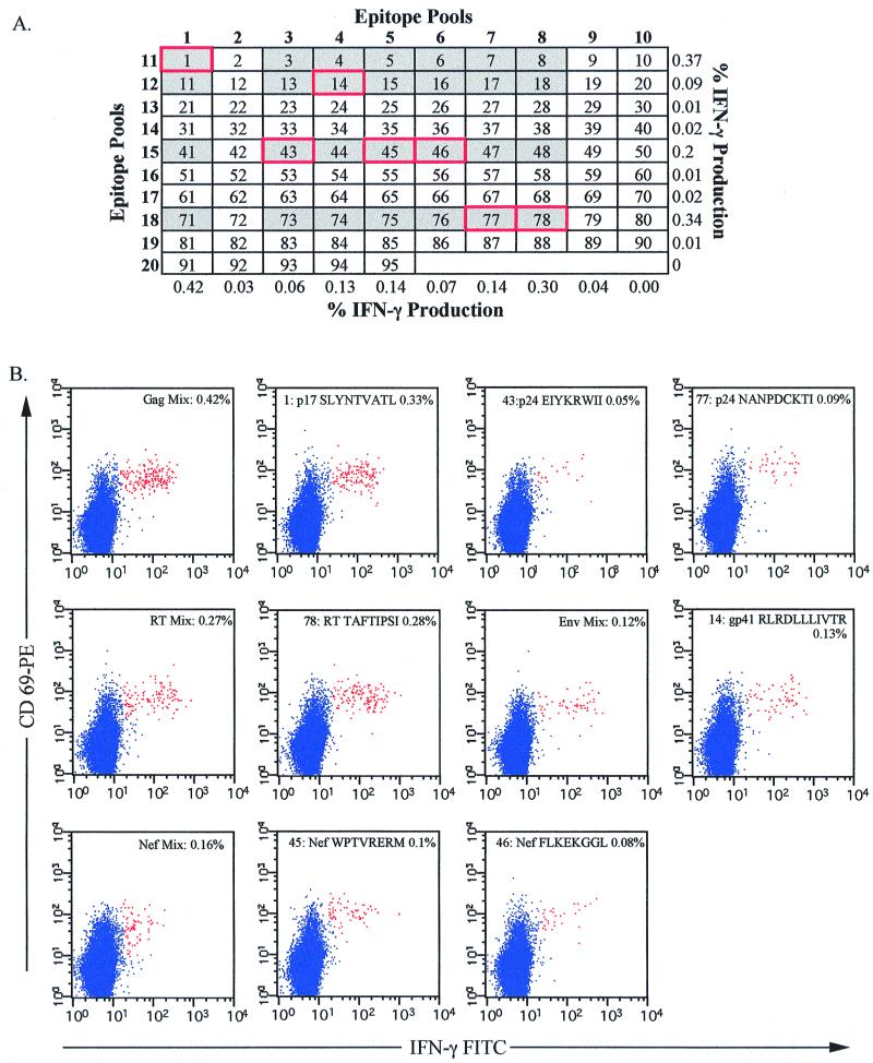 FIG. 3