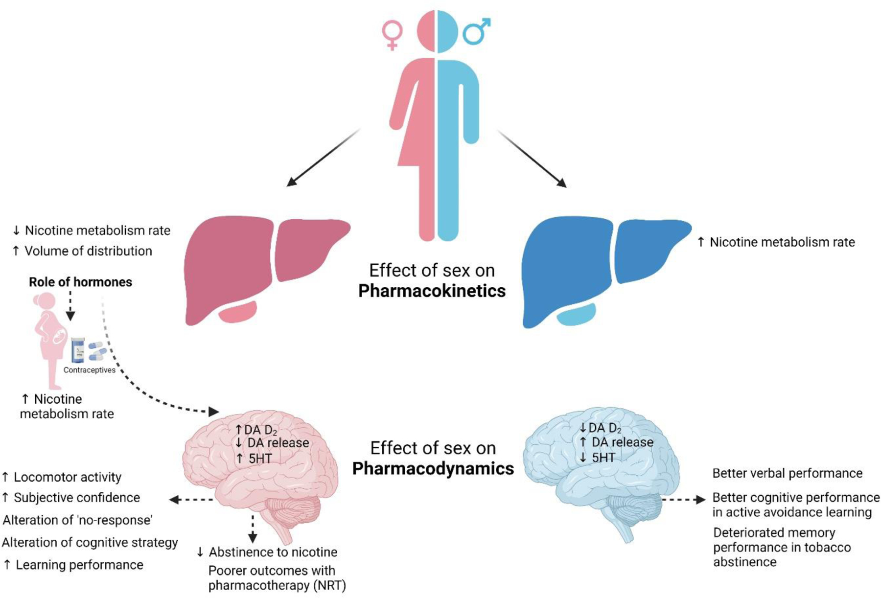 Figure 1: