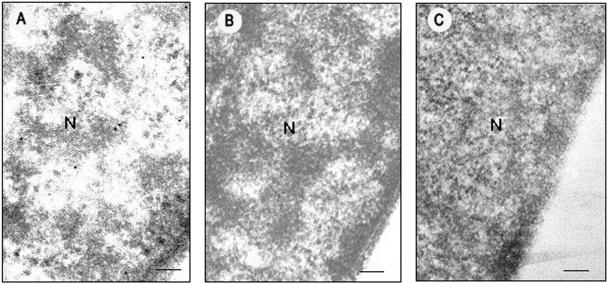 FIG. 5.