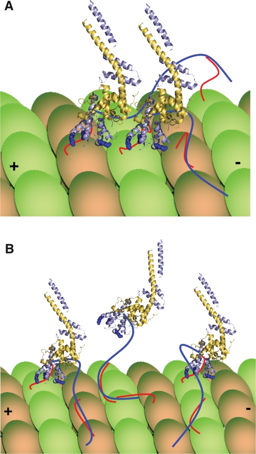 FIGURE 5: