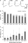 Figure 10.