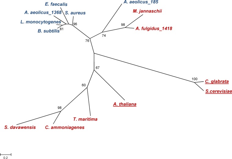 FIG 9