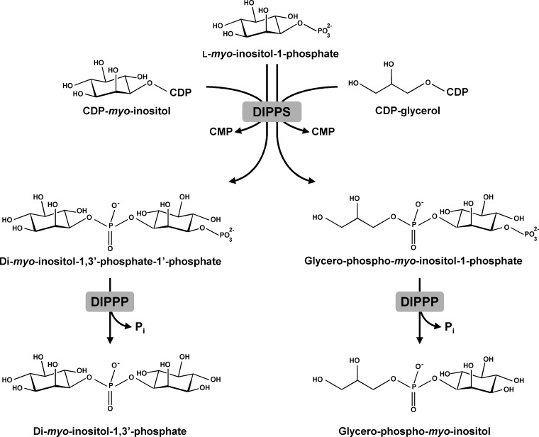 FIG 2