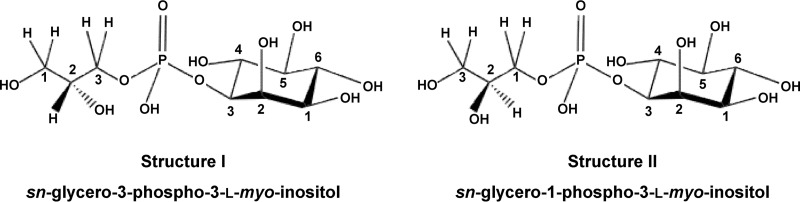 FIG 7