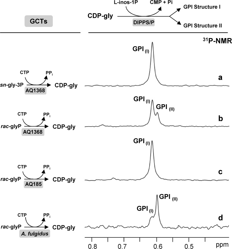 FIG 6