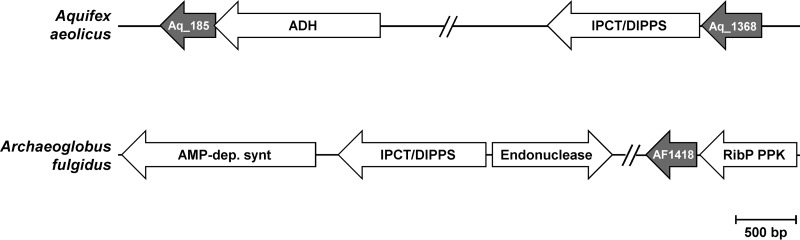 FIG 3