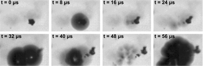 Fig. 13