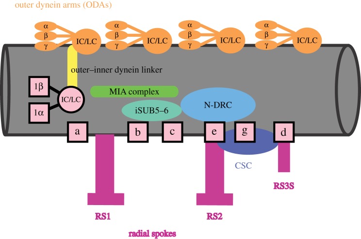 Figure 3.