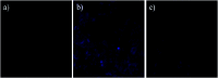 Fig. 11