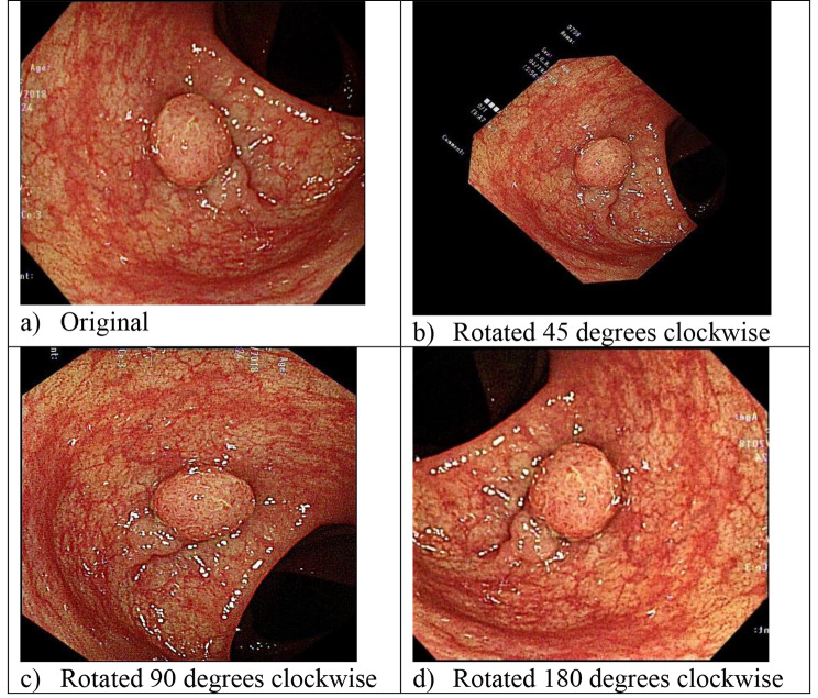 Fig. 2