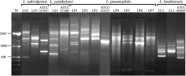 FIG. 2.