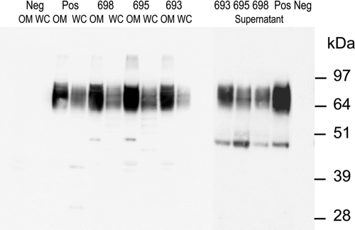 FIG. 6.