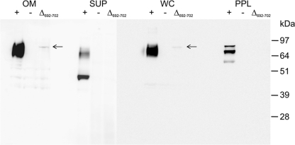 FIG. 5.