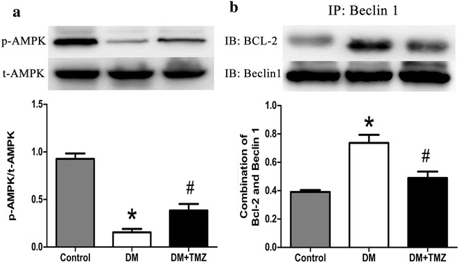 Fig. 8