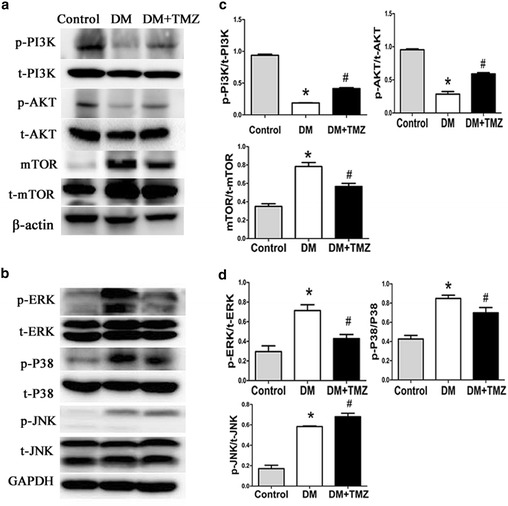 Fig. 7