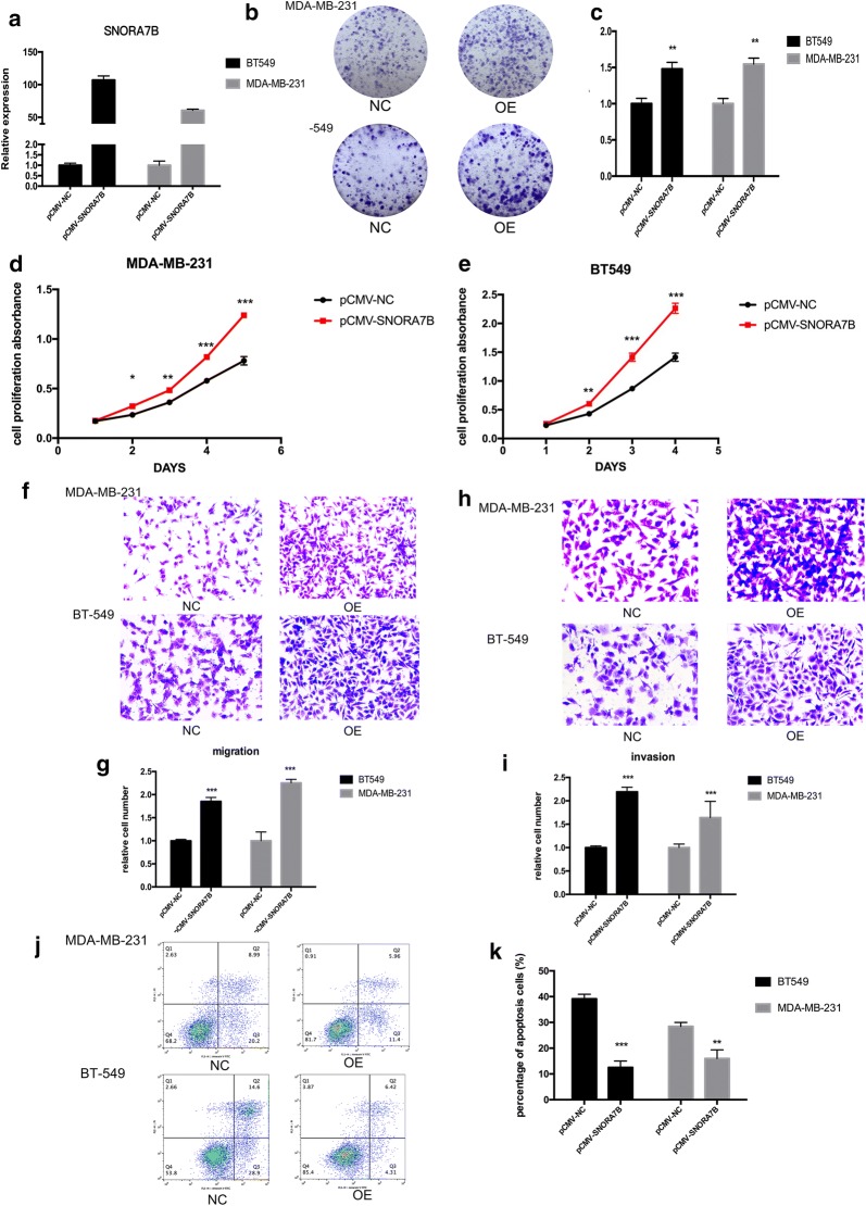 Fig. 4