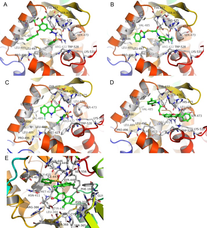 Fig 6