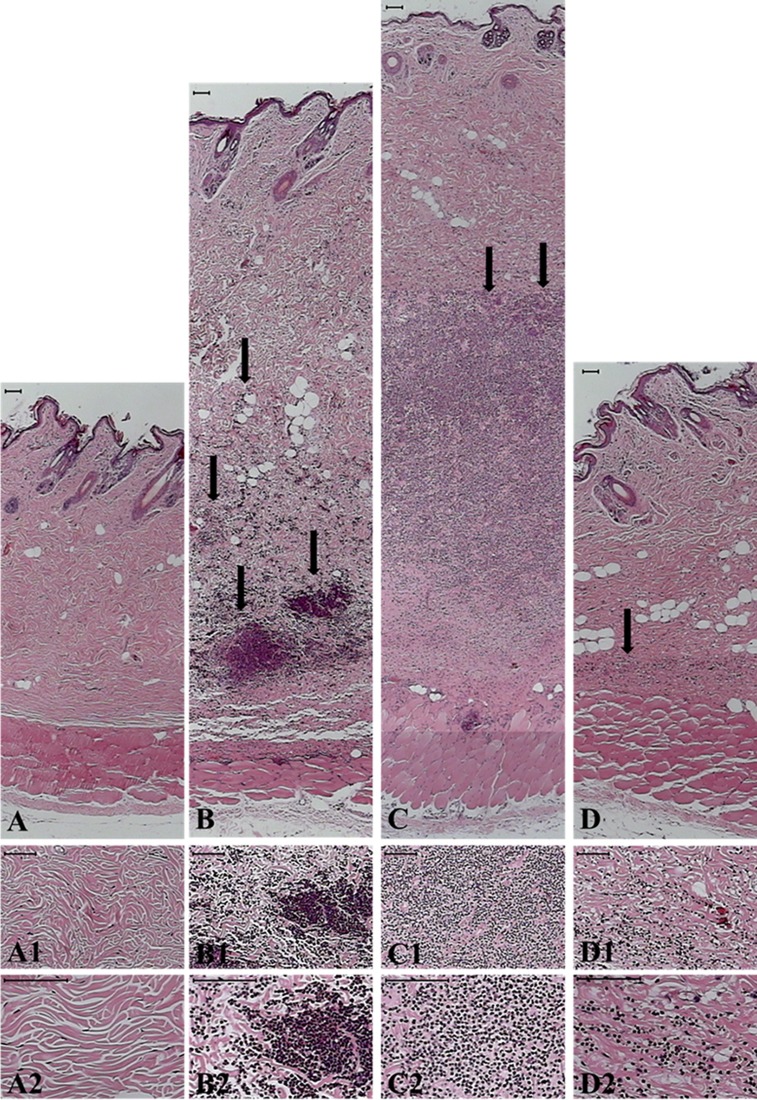 Fig 6